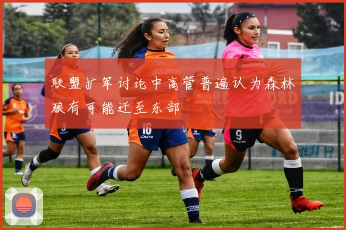 联盟扩军讨论中高管普遍认为森林狼有可能迁至东部